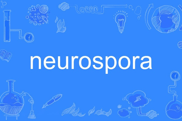 neurospora neurospora