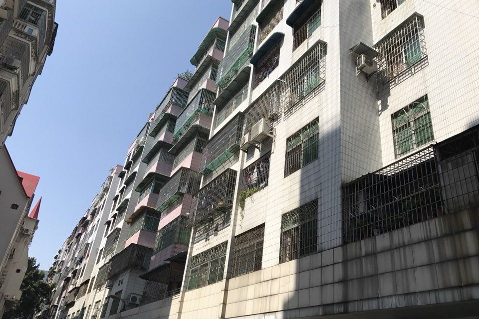 杏林居 杏林居
