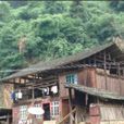 田心村(雲南楚雄市東瓜鎮詹家社區田心村) 田心村(雲南楚雄市東瓜鎮詹家社區田心村)