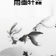 雨墨軒霖 雨墨軒霖