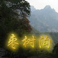 棗樹溝 棗樹溝