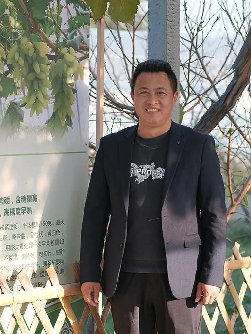 吳新軍(江蘇省泰州市杏都葡萄專業合作社生產經營主管) 吳新軍(江蘇省泰州市杏都葡萄專業合作社生產經營主管)