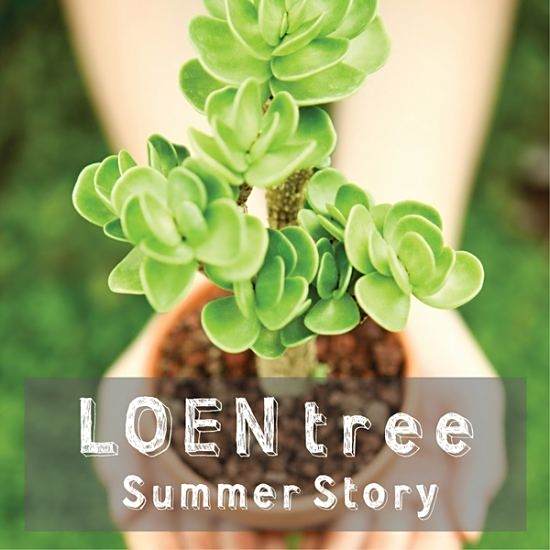 Loen Tree Summer Story Loen Tree Summer Story