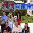 狗狗向前沖 狗狗向前沖