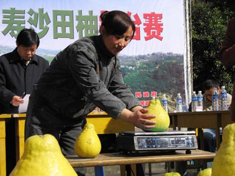 第二屆中國·長壽沙田柚節