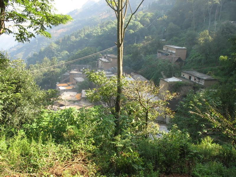 青木里村(元陽縣嘎娘鄉鳳港村委會下轄村) 青木里村(元陽縣嘎娘鄉鳳港村委會下轄村)
