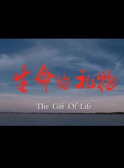 王鋼(演員)