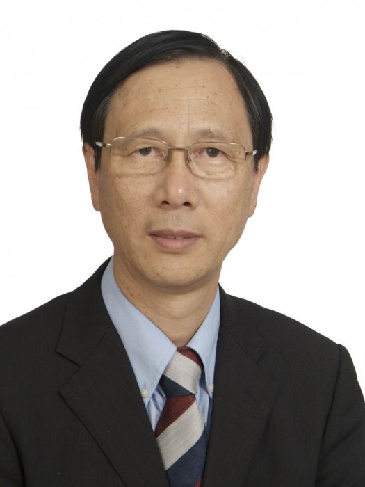 陳勇(俄羅斯工程院外籍院士、汽車傳動領域專家、廣西大學教授、廣西大學新能源汽車研究中心主任)