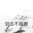 劍去不留痕 劍去不留痕