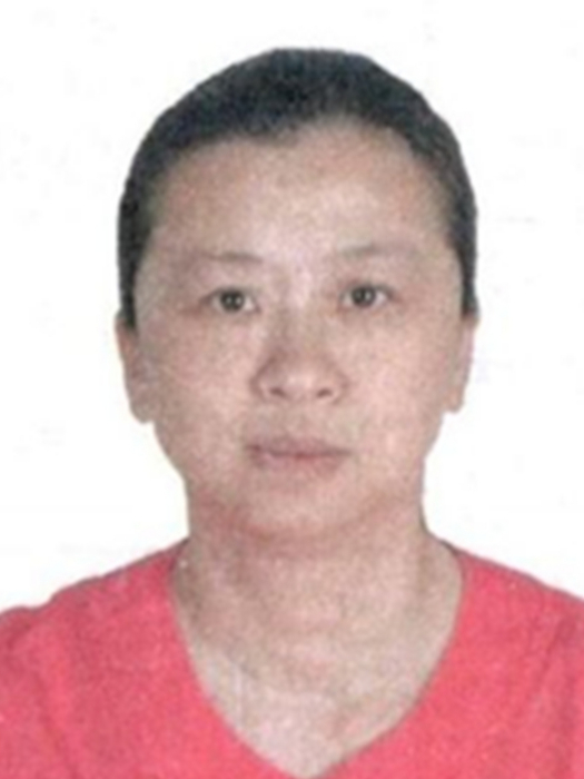 黃暉(海南省第七屆人民代表大會代表) 黃暉(海南省第七屆人民代表大會代表)