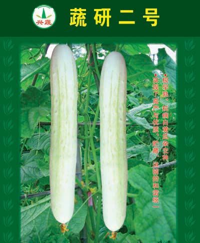 蔬研二號 蔬研二號