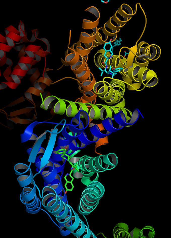人κ-阿片肽受體與JDTic的複合物