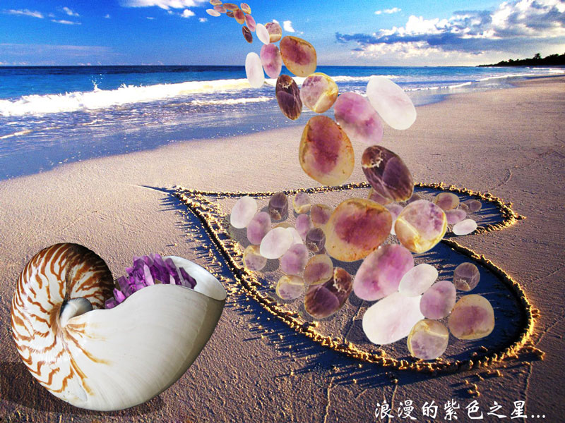 紫羅蘭海灘幻境