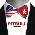 freedom(Pitbull演唱歌曲) freedom(Pitbull演唱歌曲)