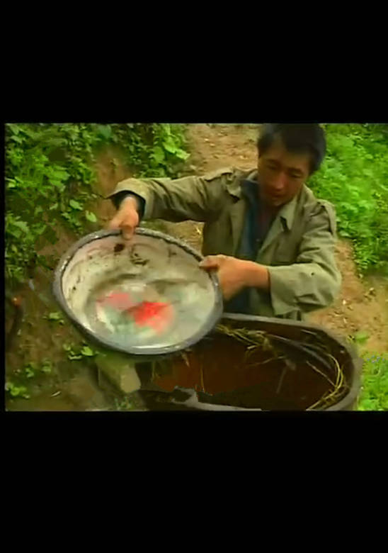 空山(彭輝導演2003年紀錄片)