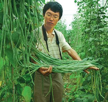 赤裕五號 赤裕五號