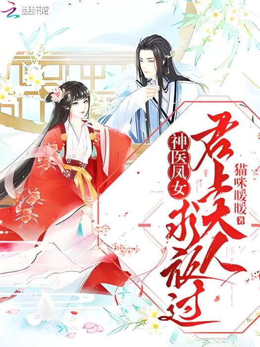 鳳醫傾城 鳳醫傾城