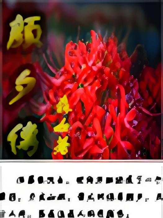 顏夕小記言 顏夕小記言