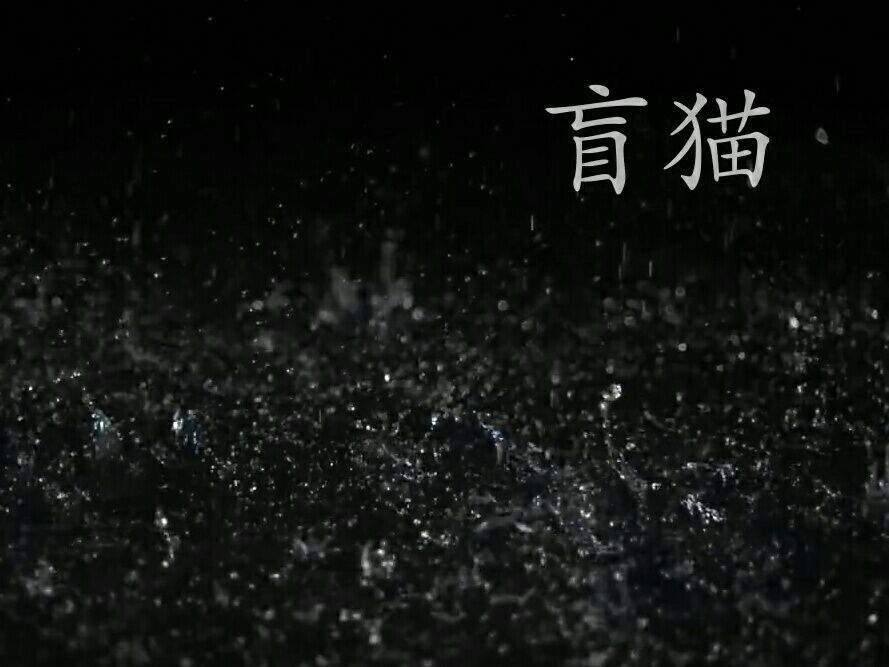 盲貓 盲貓