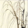 柳牛圖 柳牛圖