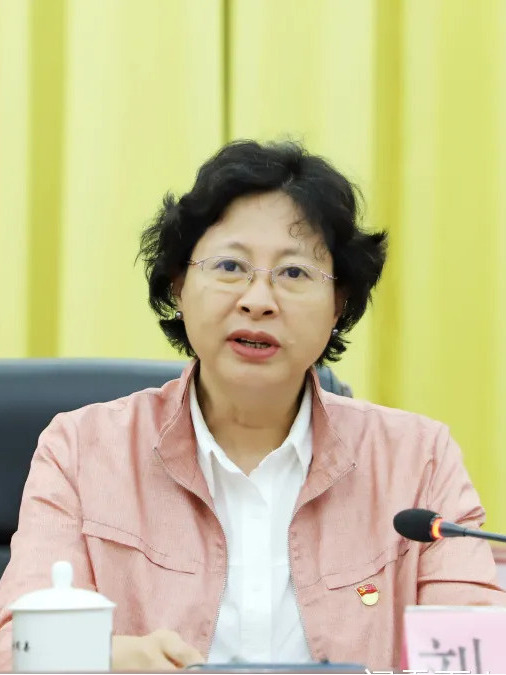 劉丹(廣東省委第十三巡視組組長) 劉丹(廣東省委第十三巡視組組長)