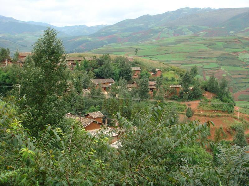 小治租村 小治租村