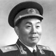 饒子健 饒子健