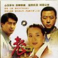 老房子(陳小藝主演的電視劇) 老房子(陳小藝主演的電視劇)