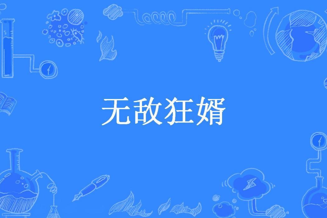 無敵狂婿(風華正茂所著小說) 無敵狂婿(風華正茂所著小說)