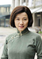 借槍(2011年張嘉譯主演電視劇)