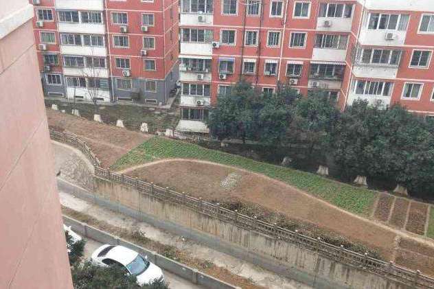 鑫豪小區 鑫豪小區