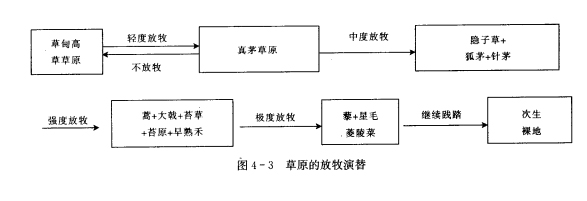 演替系列