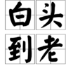 白頭到老(成語)