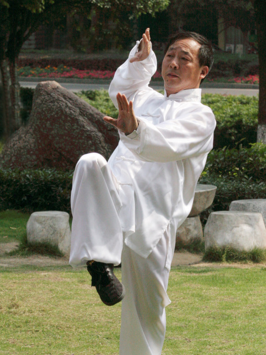 徐躍進(宜昌市武術協會主席) 徐躍進(宜昌市武術協會主席)