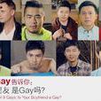 9個gay 9個gay