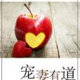 寵妻有道(琵琶語所著小說) 寵妻有道(琵琶語所著小說)