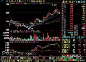 武漢華漢投資管理有限公司--股票示意圖