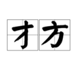 才方 才方