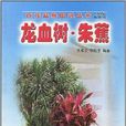 龍血樹朱蕉 龍血樹朱蕉