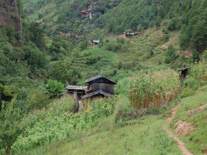 立左村 立左村