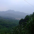 西沖村(易門縣浦貝鄉浦貝村民委員會下轄村) 西沖村(易門縣浦貝鄉浦貝村民委員會下轄村)