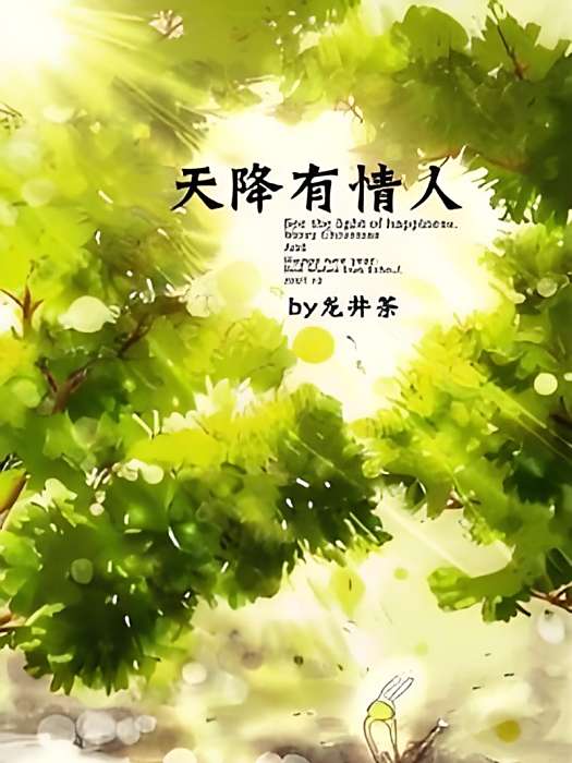 天降有情人 天降有情人