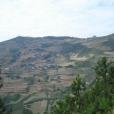 佑雅村 佑雅村