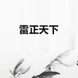 雷正天下 雷正天下