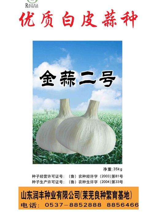 金蒜2號 金蒜2號