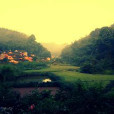 藥湖村(湖南省郴州市安仁縣安平鎮下轄村) 藥湖村(湖南省郴州市安仁縣安平鎮下轄村)