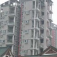 巴國公館 巴國公館