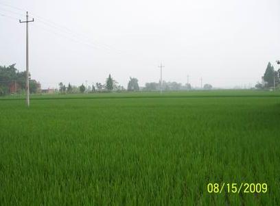 普濟村村貌風景