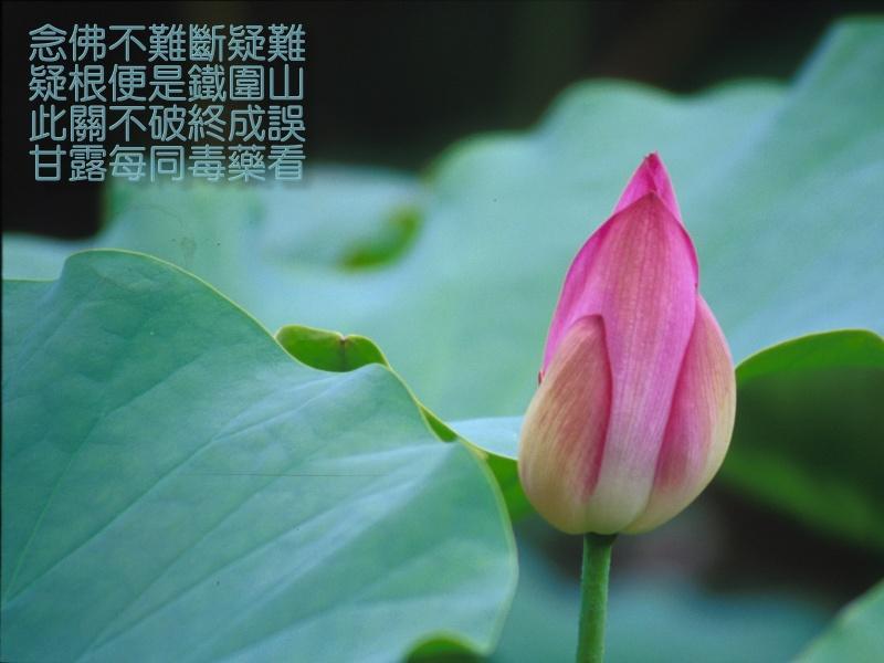 無義味語 無義味語