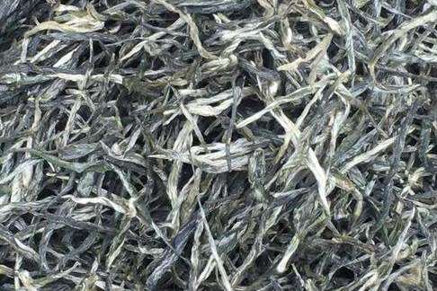靈山綠茶 靈山綠茶